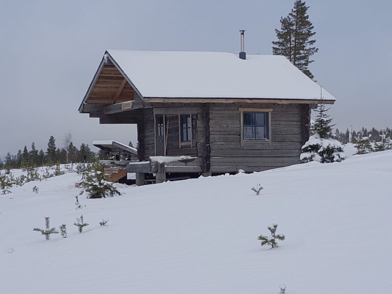 Vohonkoro vuokratupa